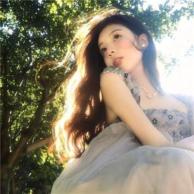狐狸捕手